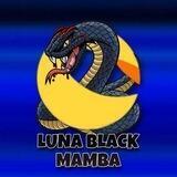 Luna Black Mamba Portal