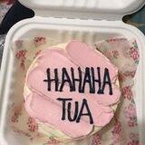Punya Jave
