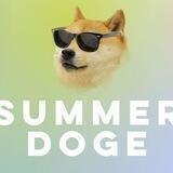 Summer Doge Portal
