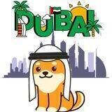 Dubai - $DUBAI Portal
