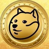 0xGoldDoge - Portal