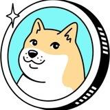 DOGE COIN 2023 - PORTAL