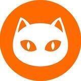 Ninneko Official India