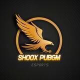 Shoox_PUBGM Chat