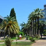 Клан путешественников 🌴