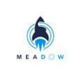 Meadow launch