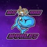 We Are Whales 🐳 Crypto Signals