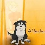BLACK HAYATE INU 🐾