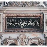 عُزلة 💚🌿