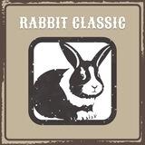 Rabbit Classic