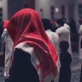 قناة | أبي الخليل الحنبلي