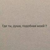 Цитаты и статусы🪐
