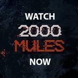 Watch2000MulesNow