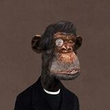 TON Bored Ape