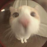 ℕ𝐎 𝐀ℕㄚ𝐎ℕ𝒆