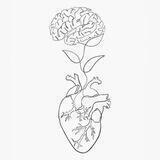 Resilience: Nervous System + Emotional Wellbeing