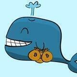 Crypto Whale | F5 Foundation