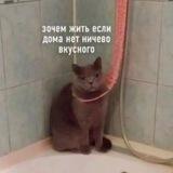 Окошаченные города К.