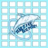 𝐁lezzer 𝐃olphin — 🐬💥