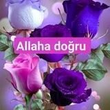 Allaha doğru