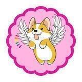 DOGE REBIRTH || OFFICIAL