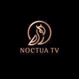 Noctua TV 🦉