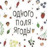 🫐Одного поля ягода🫐