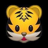TIGER 2.0 FILES