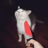 Volta