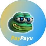 PAYU COIN