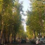 فلسطین جنوبی مدیا