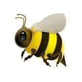 GО🐝💺UA
