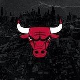 BullsInu