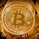 CRYPTO CREST INVESTMENT TRADE 📊📈📉