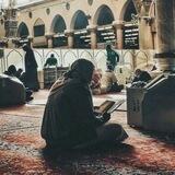 .' هِدآيـــــــّة 💚🪴•"..