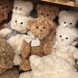 ୨୧ Boneka ₍ᐢ..ᐢ₎♥️