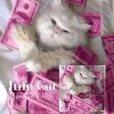 𝕿𝖓𝖋𝖔 𝕮𝖆𝖙🐈☁️