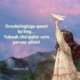 Parvozim ✈️❤