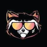 Rocket Raccoon | DEX | Proof of Stake | P2E | Wallet