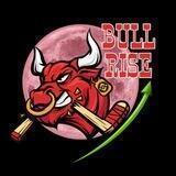 BullRiseCoin