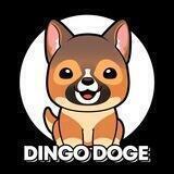 Dingo Doge Token (Official)