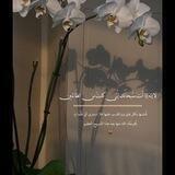 آيـــات🤍ادعيـــه🤍ذكــــر🤍