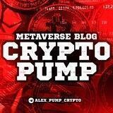 🪙CRYPTO PUMP | metaverse blog