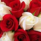 🌼❤️❤️QALBIM QUYOSHI❤️❤️🌼🌼