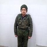 Свинособаки з коментарів