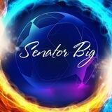 SenatorBig | Ставки на Биги | Лига чемпионов