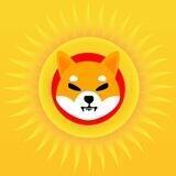 SpringShiba-PORTAL