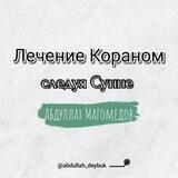 Абдуллах Магомедов рукъя Алматы