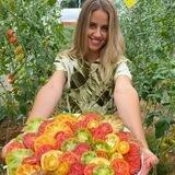 The_dacha_project