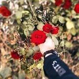 ريـ,ـحـ,ـآنـ,ـةّ🌹 آلـ,ـجـ,ـنـ,ـةّ 🌹🥀